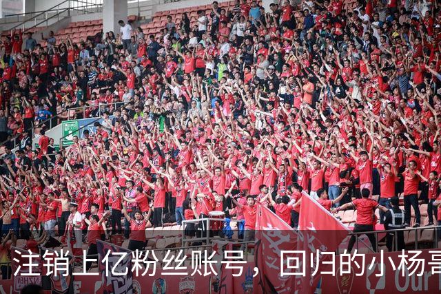 注销上亿粉丝账号，回归的小杨哥目标早已不在国内